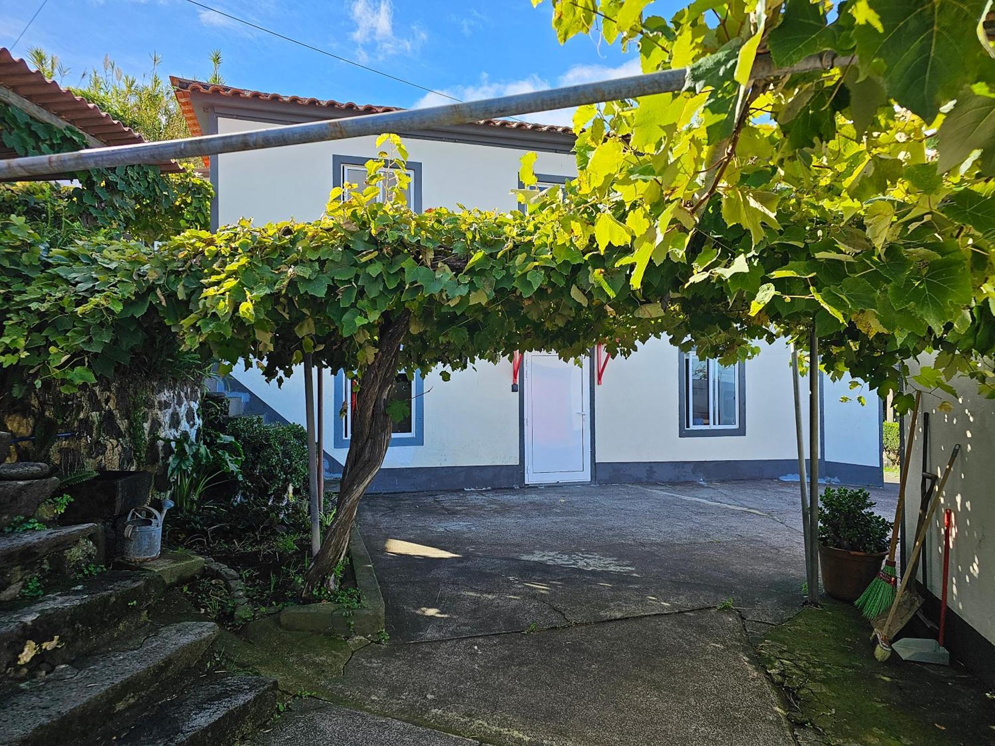 Casa Anjos Holiday Cottages Cedros Esterno foto