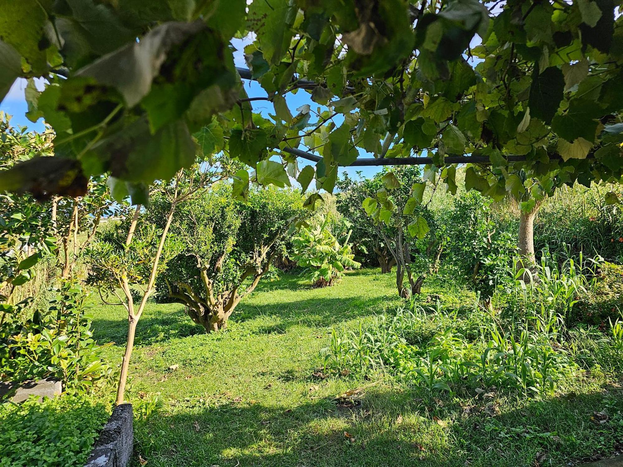 Casa Anjos Holiday Cottages Cedros Esterno foto