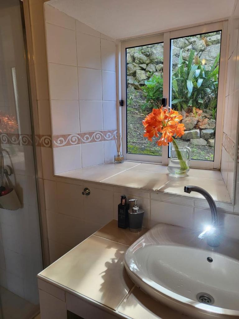 Casa Anjos Holiday Cottages Cedros Esterno foto